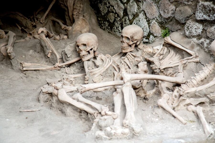 Herculaneum: 2-Hour Skip-the-Line Tour from Sorrento - How much free time will you really have?