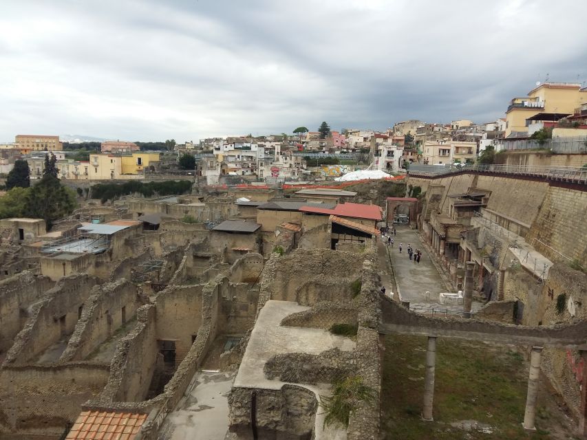 Herculaneum Half-Day Tour from Sorrento - Key points about the Herculaneum half-day tour