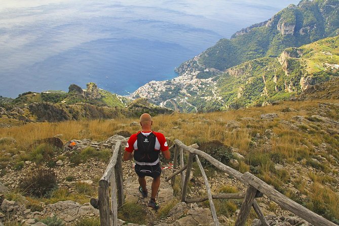 Hiking on Faito Mountain from Sorrento - Walking Through Beech and Conifer Forests