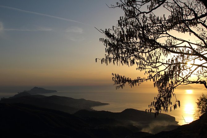 Hiking on Faito Mountain from Sorrento - Private Touring and the Price of $347.91
