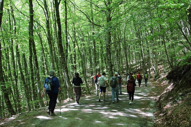 Hiking on Faito Mountain from Sorrento - Who Will Enjoy This Faito Mountain Walk?