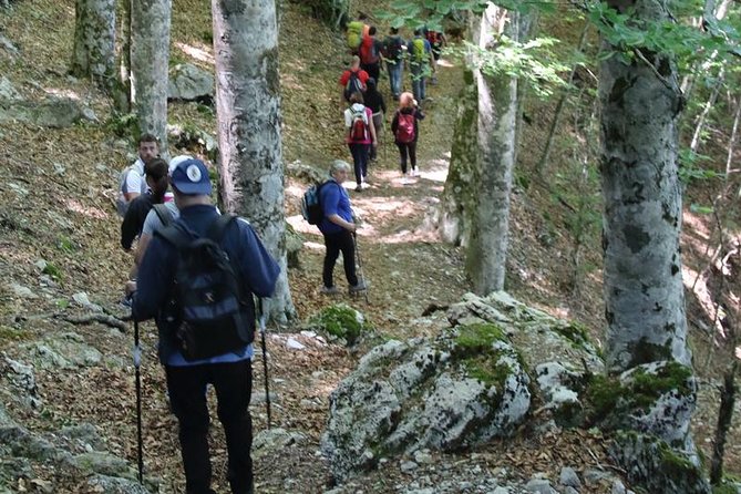 Hiking on Faito Mountain from Sorrento - Cancellation, Weather, and Planning Notes