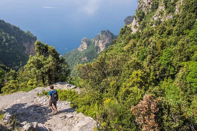 Hiking the Path of the Gods with Enzo: Amalfi Coast Adventure - Is the $83.45 price good value?