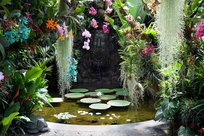 Ischia and La Mortella Gardens - The 8:30 a.m. start in Sorrento