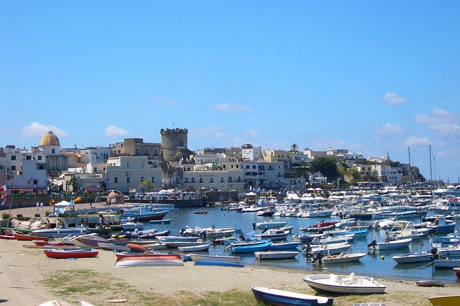 Ischia and La Mortella Gardens - Two hours among the plants at La Mortella Gardens