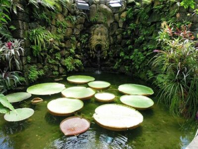 Ischia and La Mortella Gardens