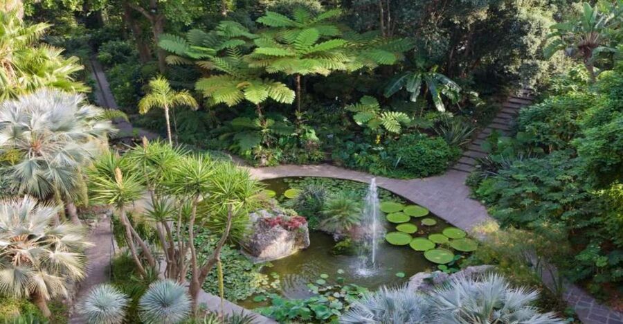 Ischia and Mortella Gardens Full-Day Tour from Sorrento - Why La Mortella is worth the trip from Sorrento