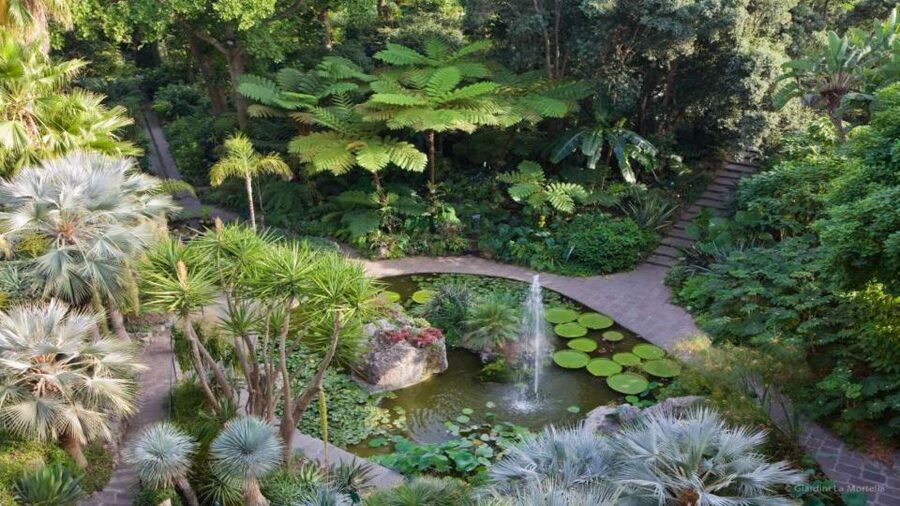 Ischia and Mortella Gardens Full-Day Tour from Sorrento - Leaving Sorrento and reaching Ischia