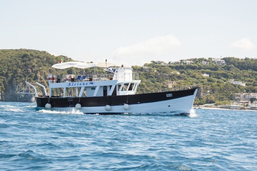 Ischia: Island Boat Tour with Neapolitan Lunch & Snorkeling - Cartaromana and the Aragonese Castle