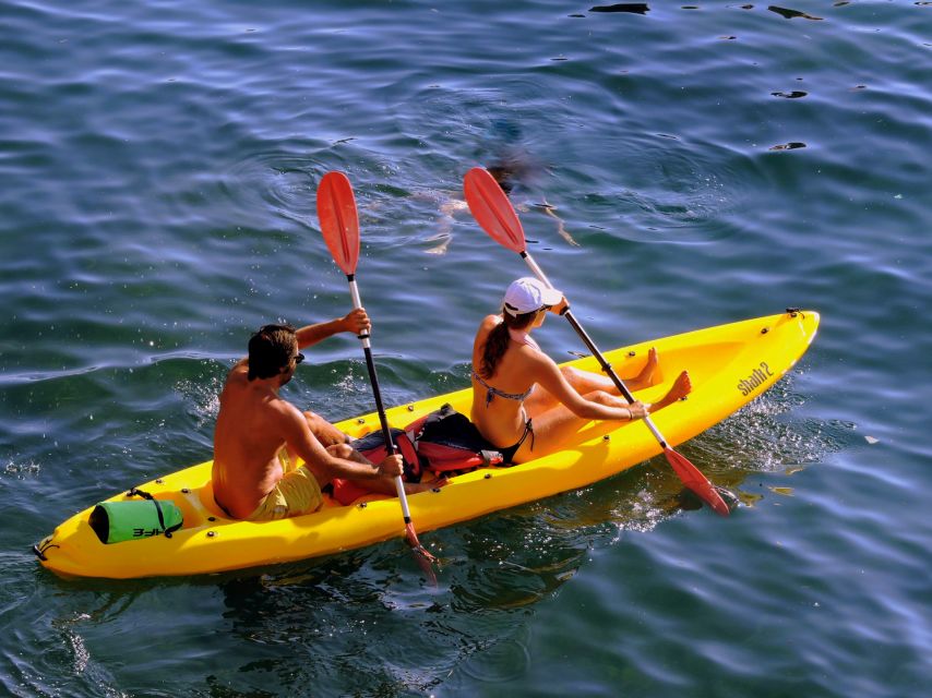 Kayak experience - What to Bring for a Comfortable Paddle