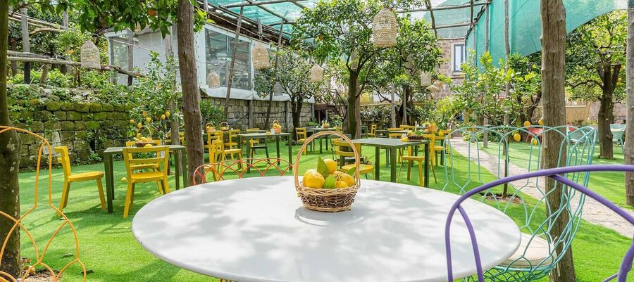 Lemon Tour with Lunch/Dinner - Walking through the traditional lemon garden