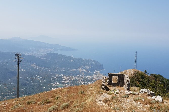 Luxury Tour from Positano to Pompei Ravello Amalfi - What the driver adds to the day