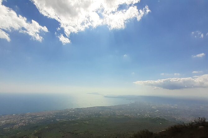 Mount Vesuvius Tour with Entry Ticket & Lunch - Lunch and wine at Sorrentino Winery