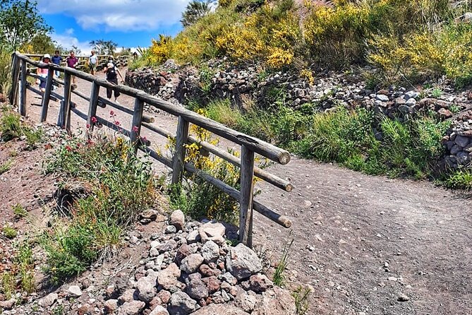 Mount Vesuvius Tour with Entry Ticket & Lunch - Who should book this Vesuvius tour