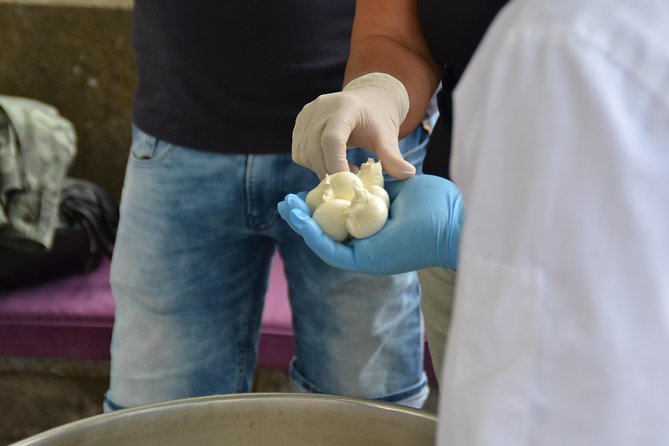Mozzarella Class or Pizza Class - A full day from the coast to the hills