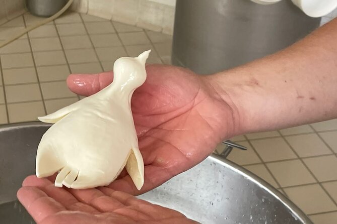 Mozzarella Experience with Tasting in Vico Equense - What happens during the two-hour visit