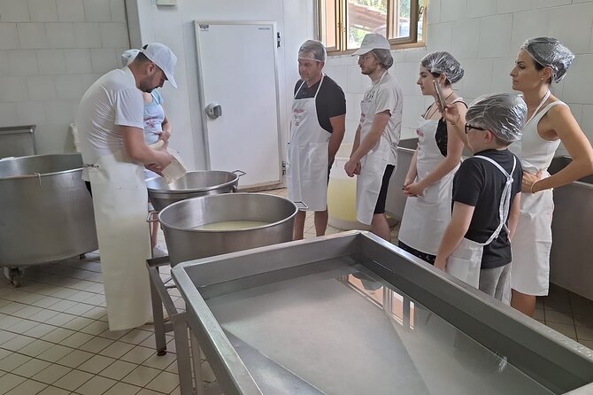 Mozzarella Experience with Tasting in Vico Equense - Weather and cancellation rules