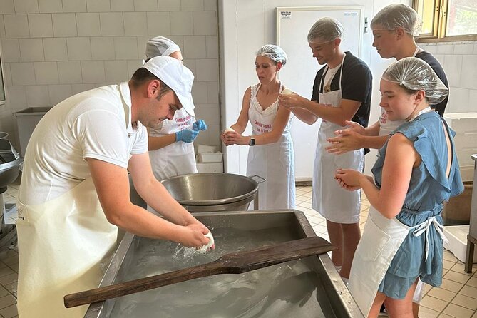 Mozzarella Experience with Tasting in Vico Equense - Learning the curd process and making fior di latte