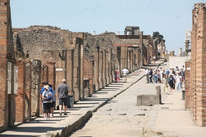 Mt. Vesuvius and Pompeii Full-Day Tour from Sorrento - Booking and cancellation details
