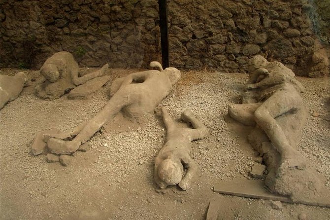 Mt Vesuvius and Pompeii Tour by Bus from Sorrento - The return to Sorrento