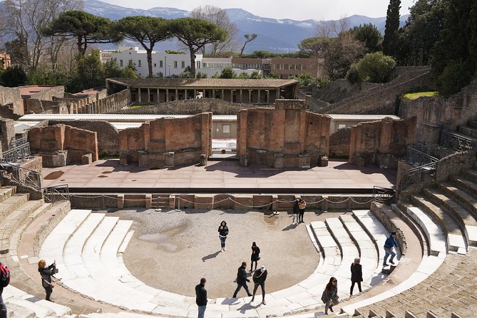 Mt Vesuvius and Pompeii Tour by Bus from Sorrento - Who will get the most from this tour