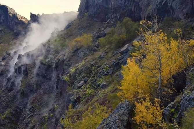 Mt Vesuvius E-Bike Tour - Pedaling through Vesuvius National Park