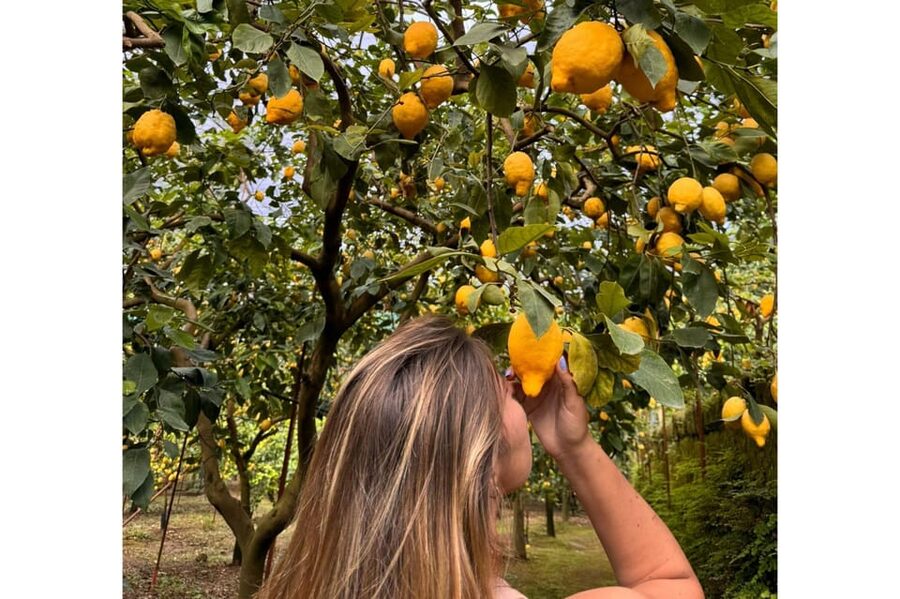 Nonno Mario Lemon Tour - From fruit to bottle in the lemon laboratory