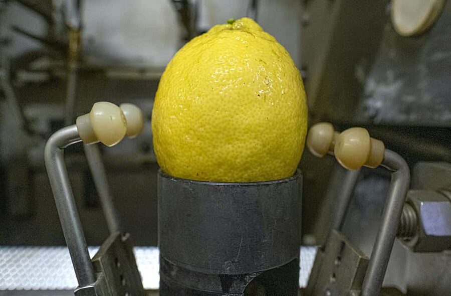 Nonno Mario Lemon Tour - Who will enjoy this two-hour outing?