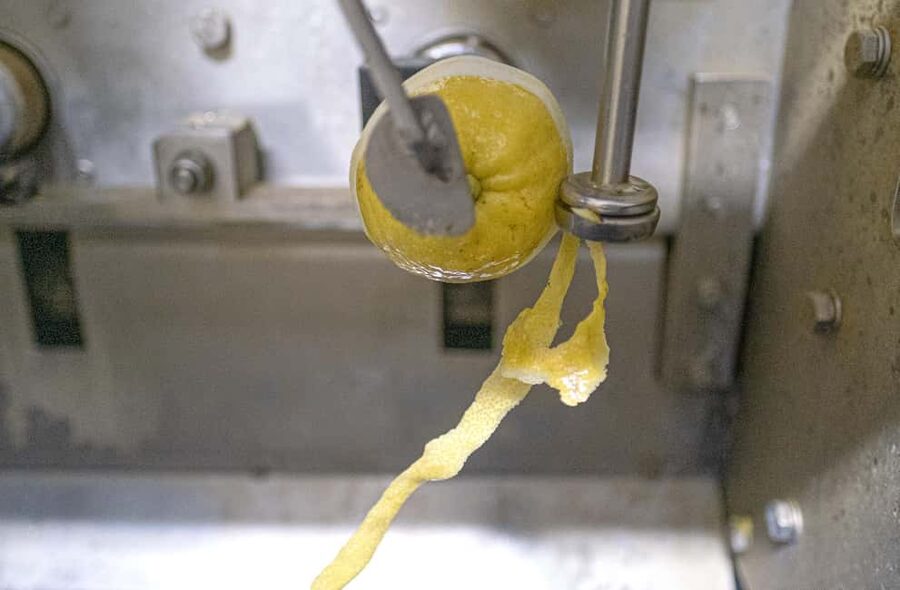 Nonno Mario Lemon Tour - Should you book the Nonno Mario Lemon Tour?