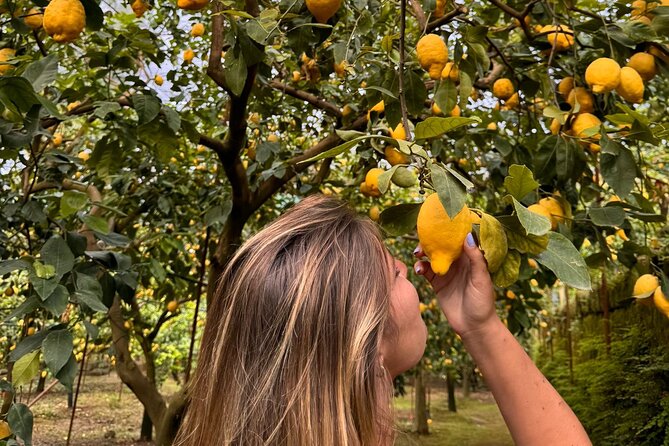 Nonno Mario Sorrento Lemon tour - The optional meal in the lemon grove