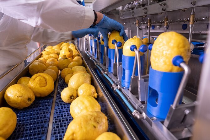 Nonno Mario Sorrento Lemon tour - Is $77.44 a fair price?