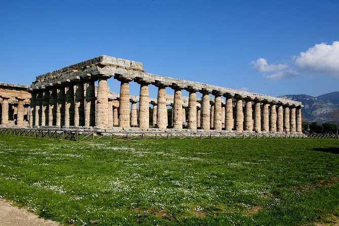 Paestum, Buffalo Mozzarella tasting and light lunch private tour - My verdict on the Paestum and mozzarella combination