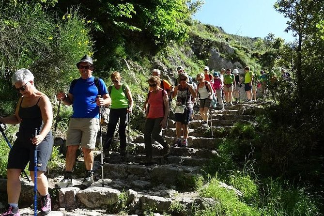 Path of Gods Hike, with Food Experience at Shepherd's Hut - Plants, animals, and stories along the trail