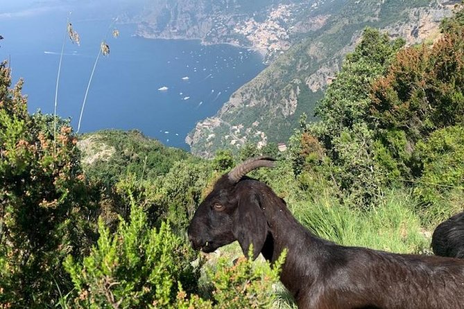 Path of the gods hike - Walking the famous clifftop route