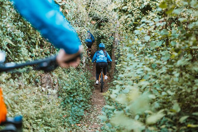Pedals & Flavours: Sorrento oil and lemon tour - What the ride around Massa Lubrense offers