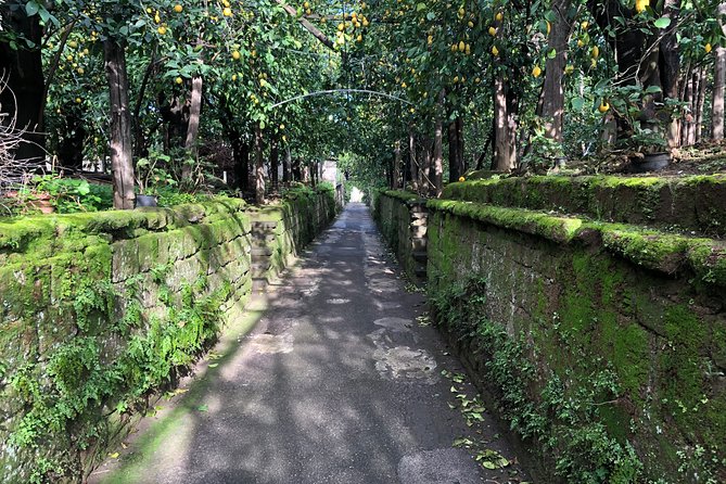 Piano di Sorrento Walking Tour with a Local - The old fisherman’s village and Piano’s shipyards