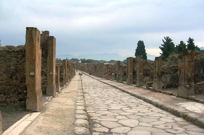 Pompei Archeological site and Wine tasting Experience - Should you book the Pompeii and wine tasting experience?