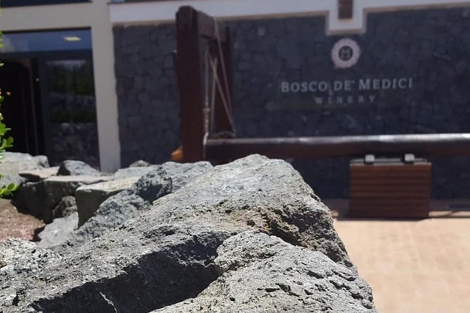 Pompei Archeological site and Wine tasting Experience - Seeing Pompeii with Sacha or another private guide