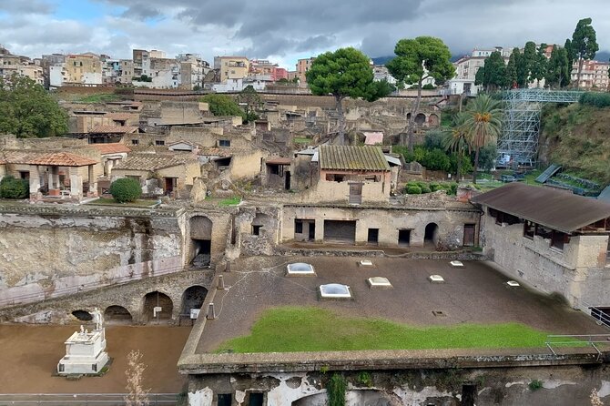 Pompeii and Herculaneum with Wine Tour - Pompeii: four hours to understand a buried city