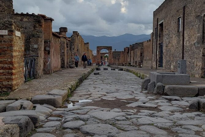 Pompeii and Herculaneum with Wine Tour - Should you book it?