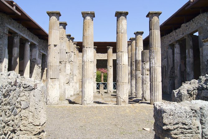 Pompeii and Naples with guide all day and tickets included - Price, timing, and practical value
