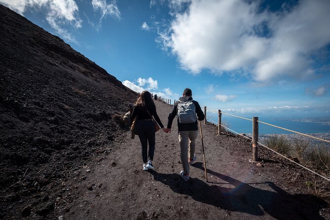 Pompeii and Vesuvius Small Group Tour from Sorrento with Pizza - What the $138.78 price really covers