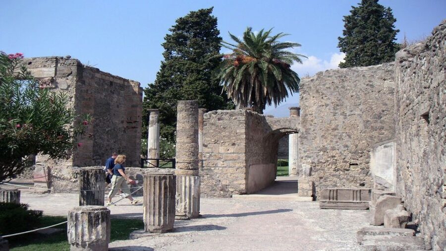 Pompeii Half-Day Coach Tour from Sorrento - Who Should Book This Pompeii Tour