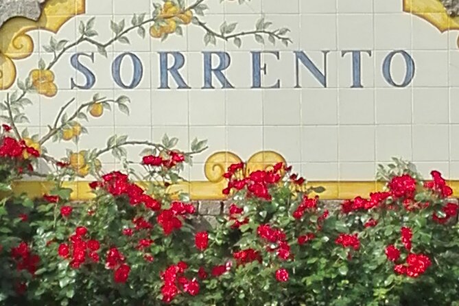 Pompeii Half-Day Tour from Sorrento - Leaving Sorrento at 8:30 am