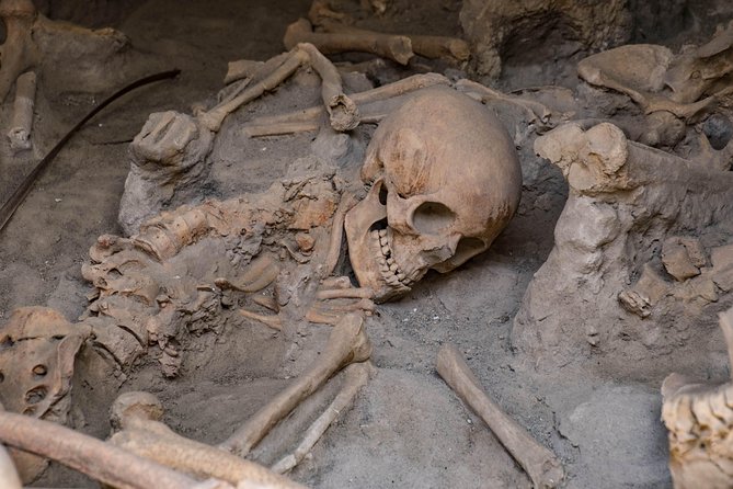 Pompeii, Herculaneum and Winery on Vesuvius with an Archaeologist - The guide’s greatest value