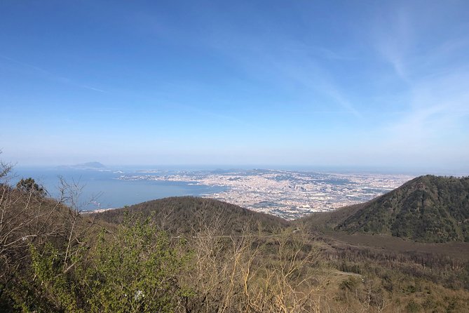Pompeii, Herculaneum & Mt. Vesuvius Guided Tour from Sorrento - Practical ways to make the day better