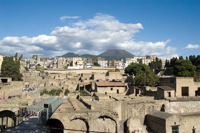 Pompeii, Herculaneum & Mt. Vesuvius Guided Tour from Sorrento - The private driver adds real value