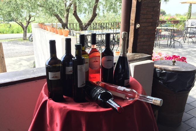Pompeii-Herculaneum-Wine tour from Sorrento, with licensed guide included - Cantina del Vesuvio and Lacryma Christi