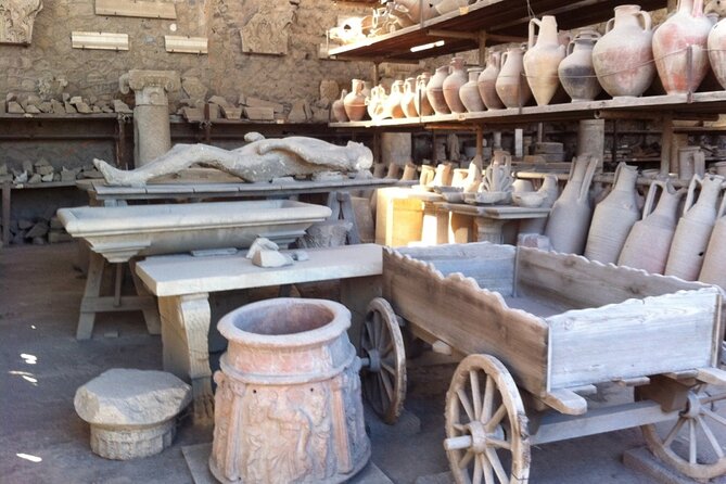 Pompeii, Herculaneum & Wine Tour, with Licensed Guide included - Jose and the value of a private driver