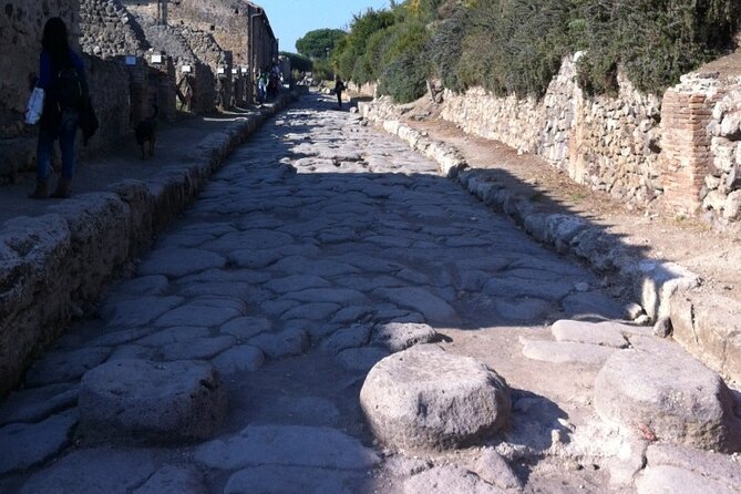 Pompeii, Herculaneum & Wine Tour, with Licensed Guide included - How much value do you get for $606.43?